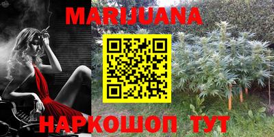 стафф Нальчик
