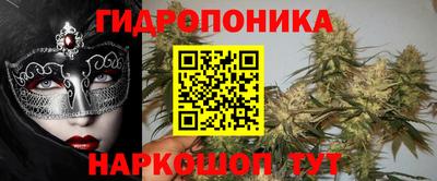 стафф Нальчик