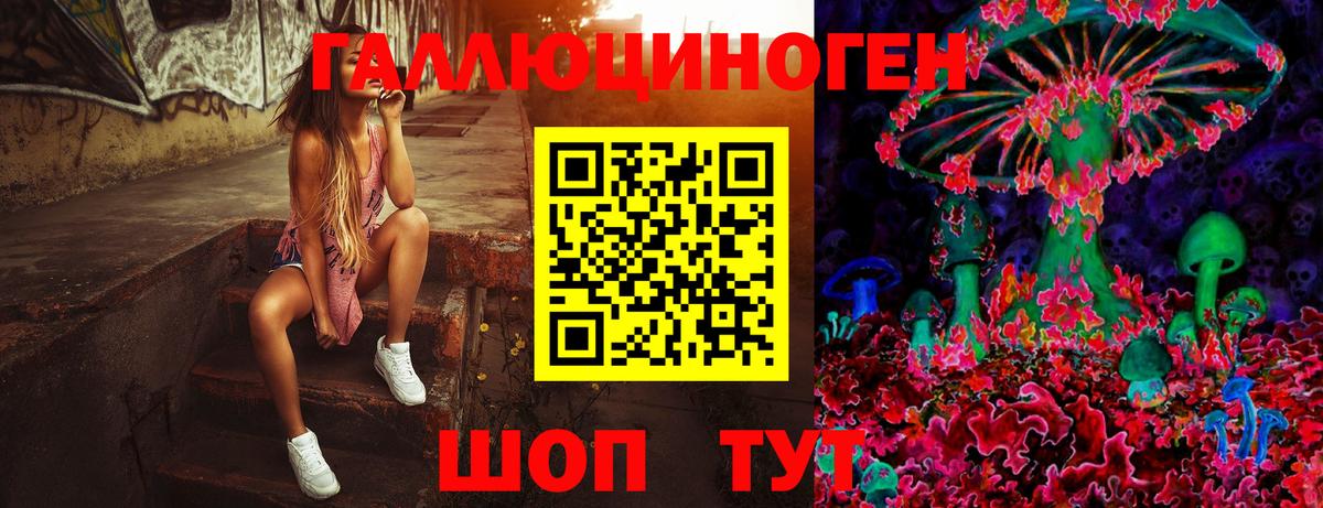 Галлюциногенные грибы GOLDEN TEACHER Видное