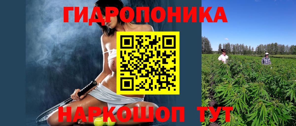Видное  Каннабис сатива  Вход с VPN  Каннабис план  Каннабис сатива 